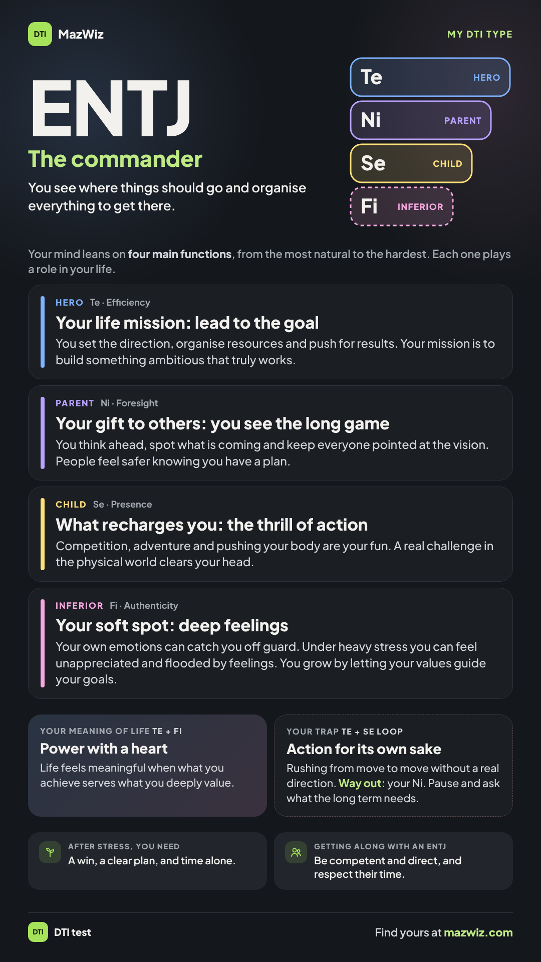 The ENTJ picture